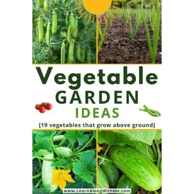 Above Ground Veggies