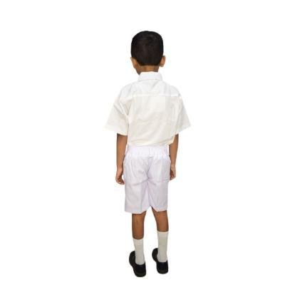 Boys & Girls Ramones Cotton School unifrom white half sleeve shirt(Pack Of 1)