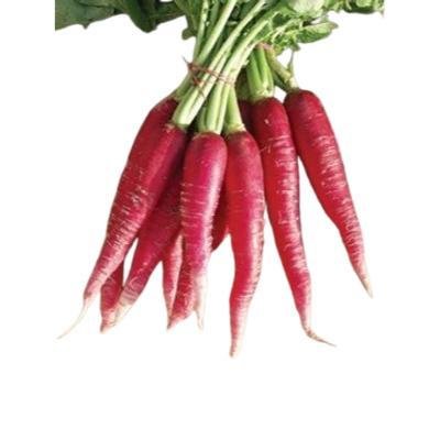 Radish Red (500 gm)Delivery up to 15km radius from our location to your destination.