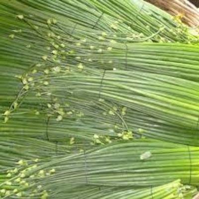 Onion Flower Stalk (250 gm)Delivery up to 15km radius from our location to your destination.