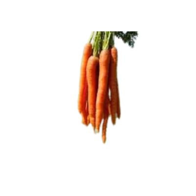Carrot(450-500 gm)Delivery up to 15km radius from our location to your destination.