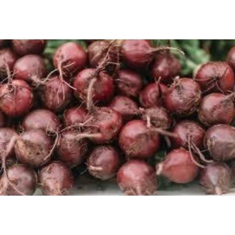 Onion 1 kg,Delivery up to 15km radius from our location to your destination.