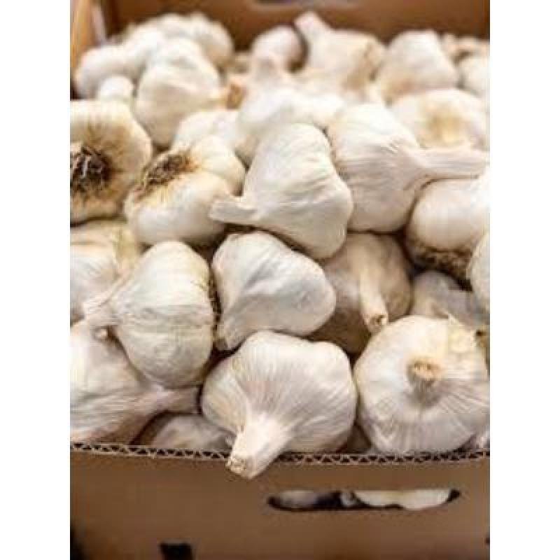Fresh Garlic (250 gm)Delivery up to 15km radius from our location to your destination.