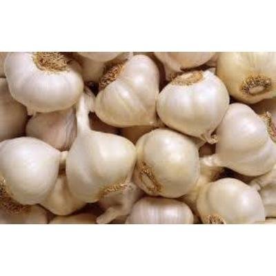 Fresh Garlic (250 gm)Delivery up to 15km radius from our location to your destination.