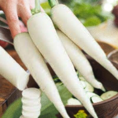 Radish White (1 kg)Delivery up to 15km radius from our location to your destination.