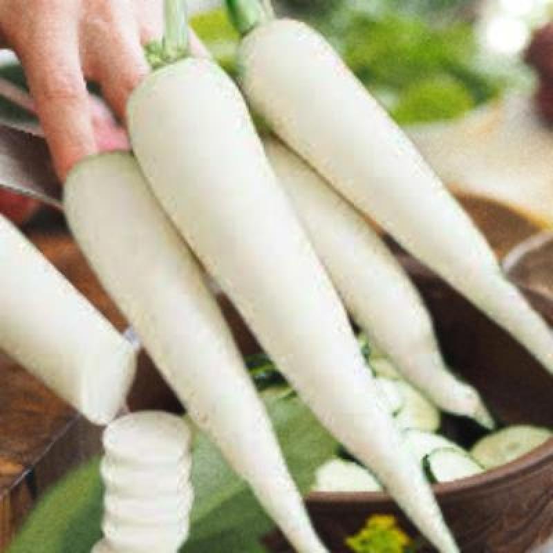 Radish White (1 kg)Delivery up to 15km radius from our location to your destination.