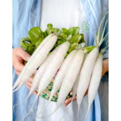 Radish White (1 kg)Delivery up to 15km radius from our location to your destination.