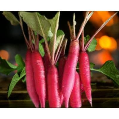 Radish Red (500 gm)Delivery up to 15km radius from our location to your destination.