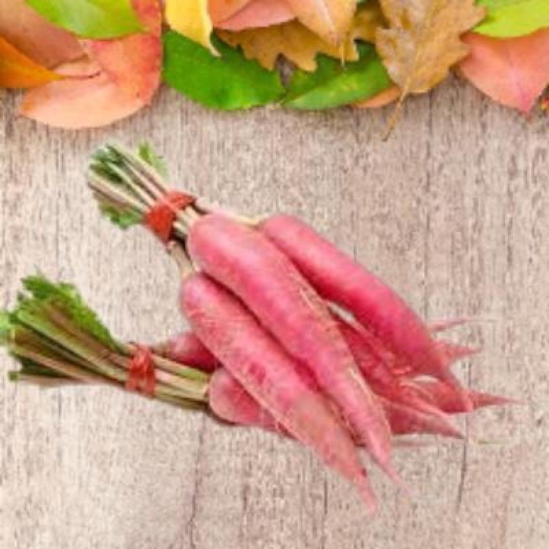 Radish Red (500 gm)Delivery up to 15km radius from our location to your destination.