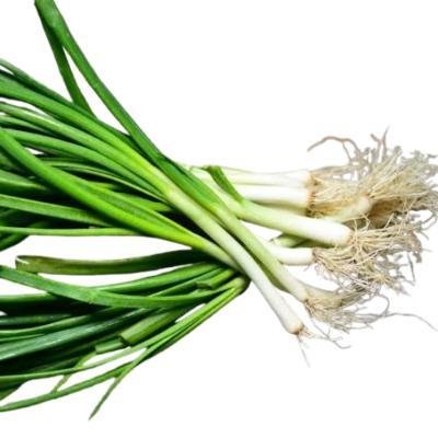 Fresh Garlic (250 gm)Delivery up to 15km radius from our location to your destination.