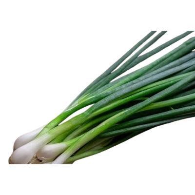 Fresh Garlic (250 gm)Delivery up to 15km radius from our location to your destination.
