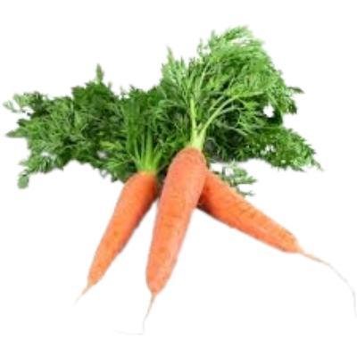 Carrot(450-500 gm)Delivery up to 15km radius from our location to your destination.