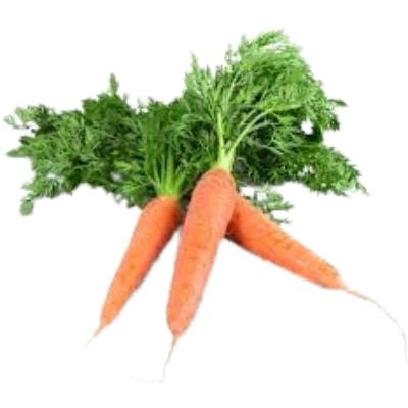 Carrot(450-500 gm)Delivery up to 15km radius from our location to your destination.