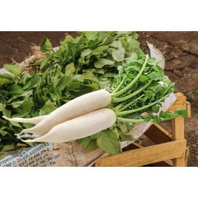 Radish White (1 kg)Delivery up to 15km radius from our location to your destination.
