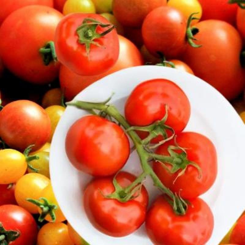 Fresh Tomato (250 gm)Delivery up to 15km radius from our location to your destination.