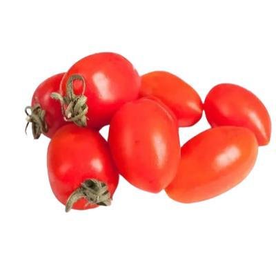 Fresh Tomato (250 gm)Delivery up to 15km radius from our location to your destination.