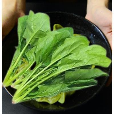 Fresh Spinach (500 gm)Delivery up to 15km radius from our location to your destination.