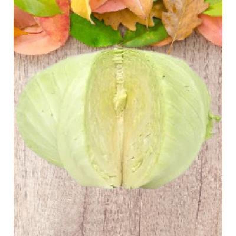 Cabbage (250 gm)Delivery up to 15km radius from our location to your destination.