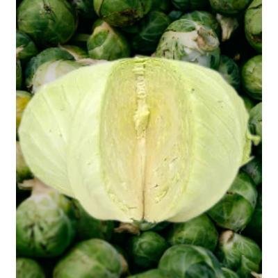Cabbage (250 gm)Delivery up to 15km radius from our location to your destination.
