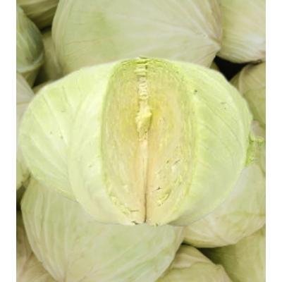 Cabbage (250 gm)Delivery up to 15km radius from our location to your destination.