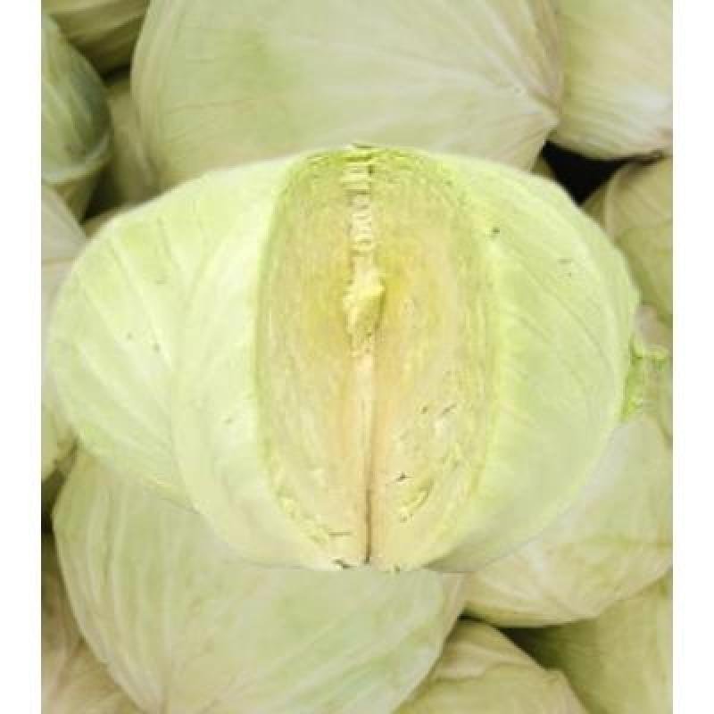 Cabbage (250 gm)Delivery up to 15km radius from our location to your destination.