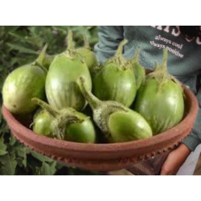 Brinjal Green Round (250 gm)Delivery up to 15km radius from our location to your destination.