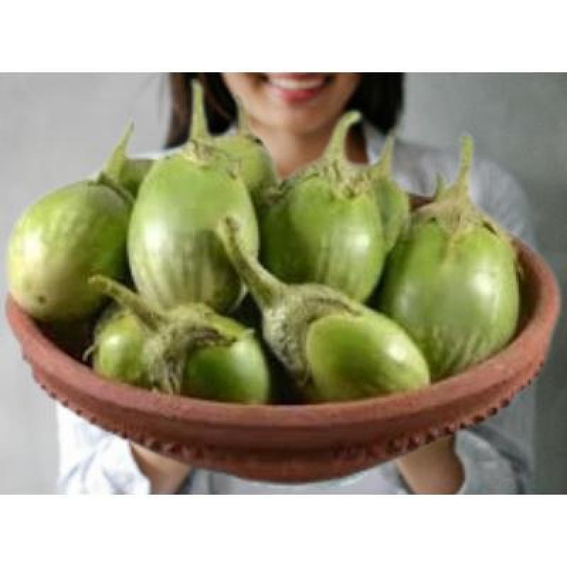 Brinjal Green Round (250 gm)Delivery up to 15km radius from our location to your destination.