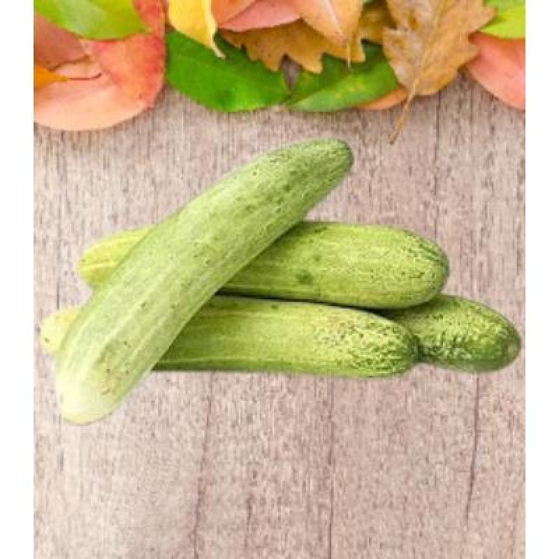 Cucumber (250 gm)Delivery up to 15km radius from our location to your destination.