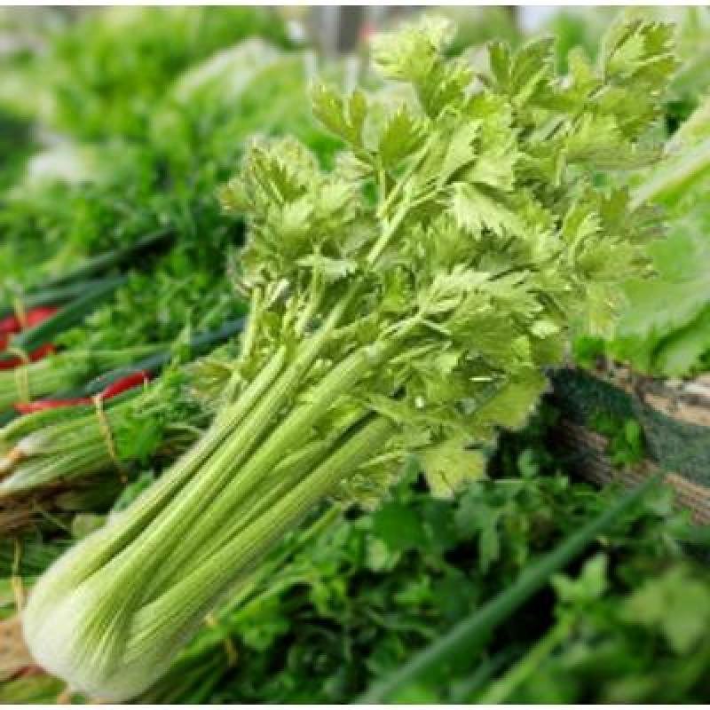 Fresh Coriander Leaves (100 gm)Delivery up to 15km radius from our location to your destination.