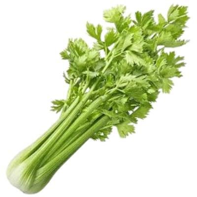 Fresh Coriander Leaves (100 gm)Delivery up to 15km radius from our location to your destination.