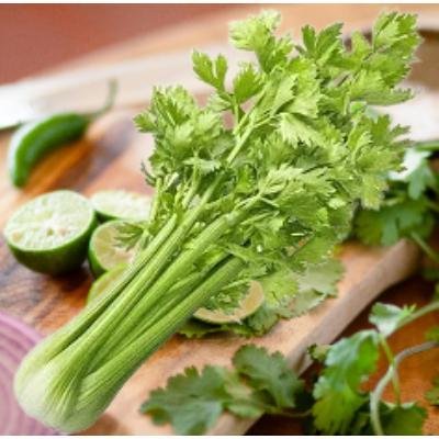 Fresh Coriander Leaves (100 gm)Delivery up to 15km radius from our location to your destination.