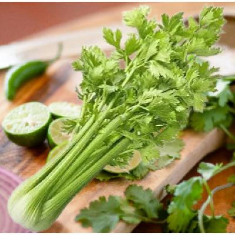 Fresh Coriander Leaves (100 gm)Delivery up to 15km radius from our location to your destination.