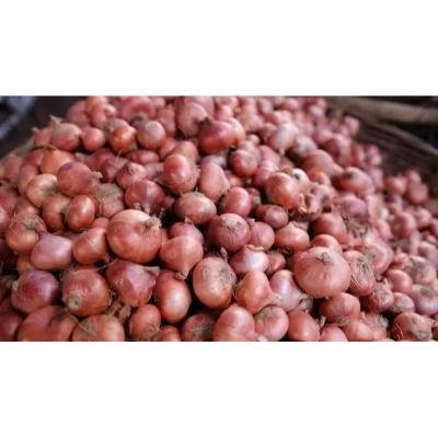 Onion 1 kg,Delivery up to 15km radius from our location to your destination.