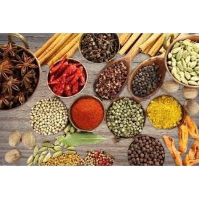 Surya Garam Masala (100 Gram)(PACK OF 1)