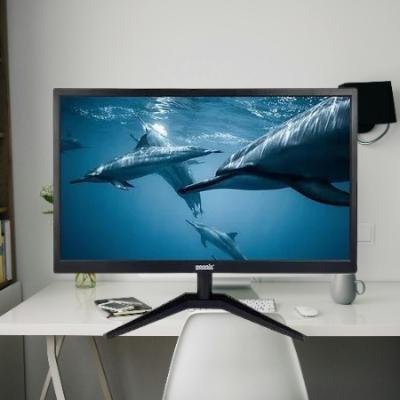 GEONIX 60.96cm 24 Inch Full HD IPS Monitor(PACK OF 1)