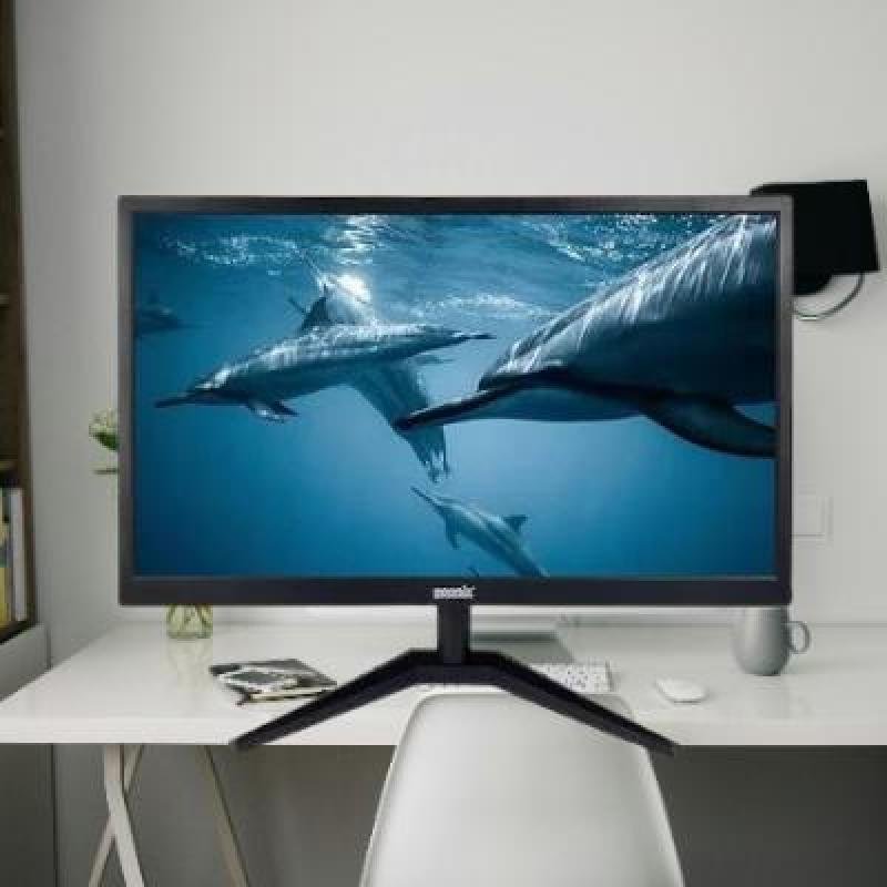 GEONIX 60.96cm 24 Inch Full HD IPS Monitor(PACK OF 1)