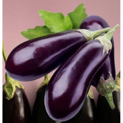 Round Brinjal Purple 250 gm Delivery up to 15km radius from our location to your destination.