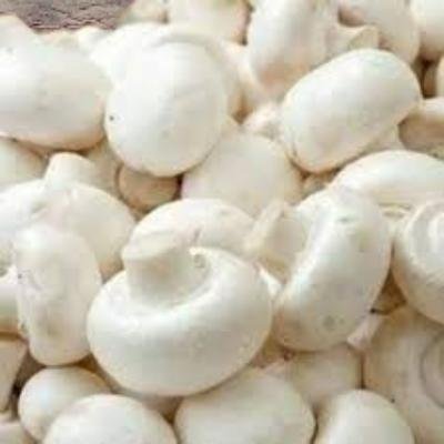 Button Mushroom (200 gm) Delivery up to 15km radius from our location to your destination.