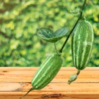 pointed gourd (250 gm)Delivery up to 15km radius from our location to your destination.
