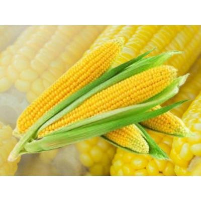 Sweet Corn (250 gm) Delivery up to 15km radius from our location to your destination.