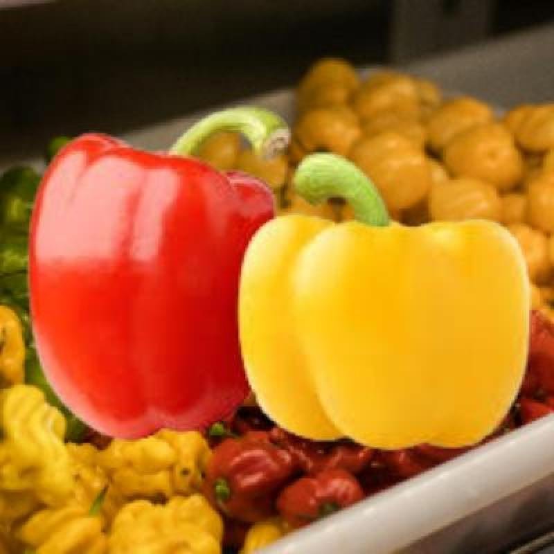Yellow Bell Paper (250 gm)Delivery up to 15km radius from our location to your destination.
