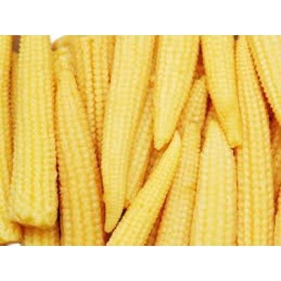 Sweet Corn (250 gm) Delivery up to 15km radius from our location to your destination.
