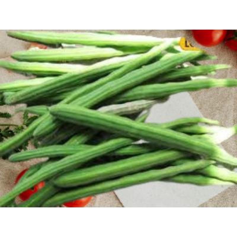 Drumstick (250 gm) Delivery up to 15km radius from our location to your destination.