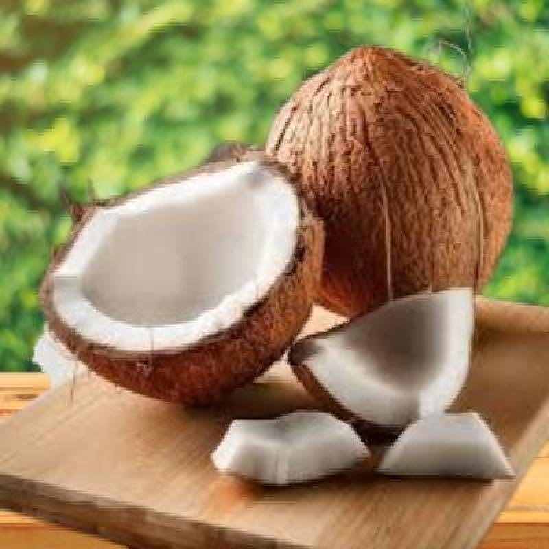 Brown Coconut Size:Small(Pack Of 5) Delivery up to 15km radius from our location to your destination.
