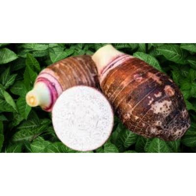 Taro Root (250 gm) Delivery up to 15km radius from our location to your destination.