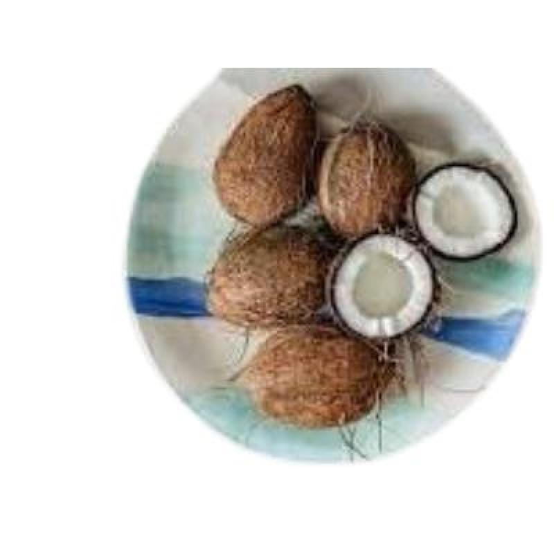 Brown Coconut Size:Small(Pack Of 1) Delivery up to 15km radius from our location to your destination.