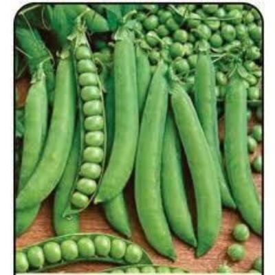 Fresh Green Peas (250 gm) Delivery up to 15km radius from our location to your destination.