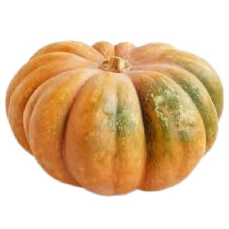 Pumkin (250 gm)Delivery up to 15km radius from our location to your destination.