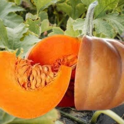 Pumkin (250 gm)Delivery up to 15km radius from our location to your destination.