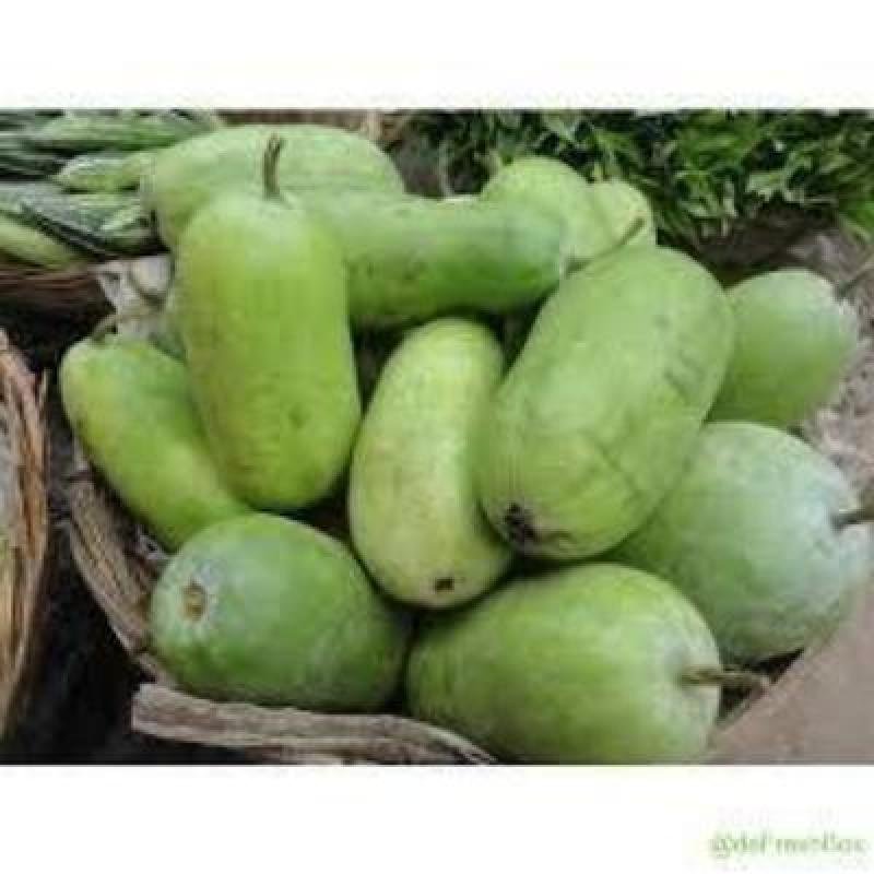 Ash Gourd (250 gm) Delivery up to 15km radius from our location to your destination.